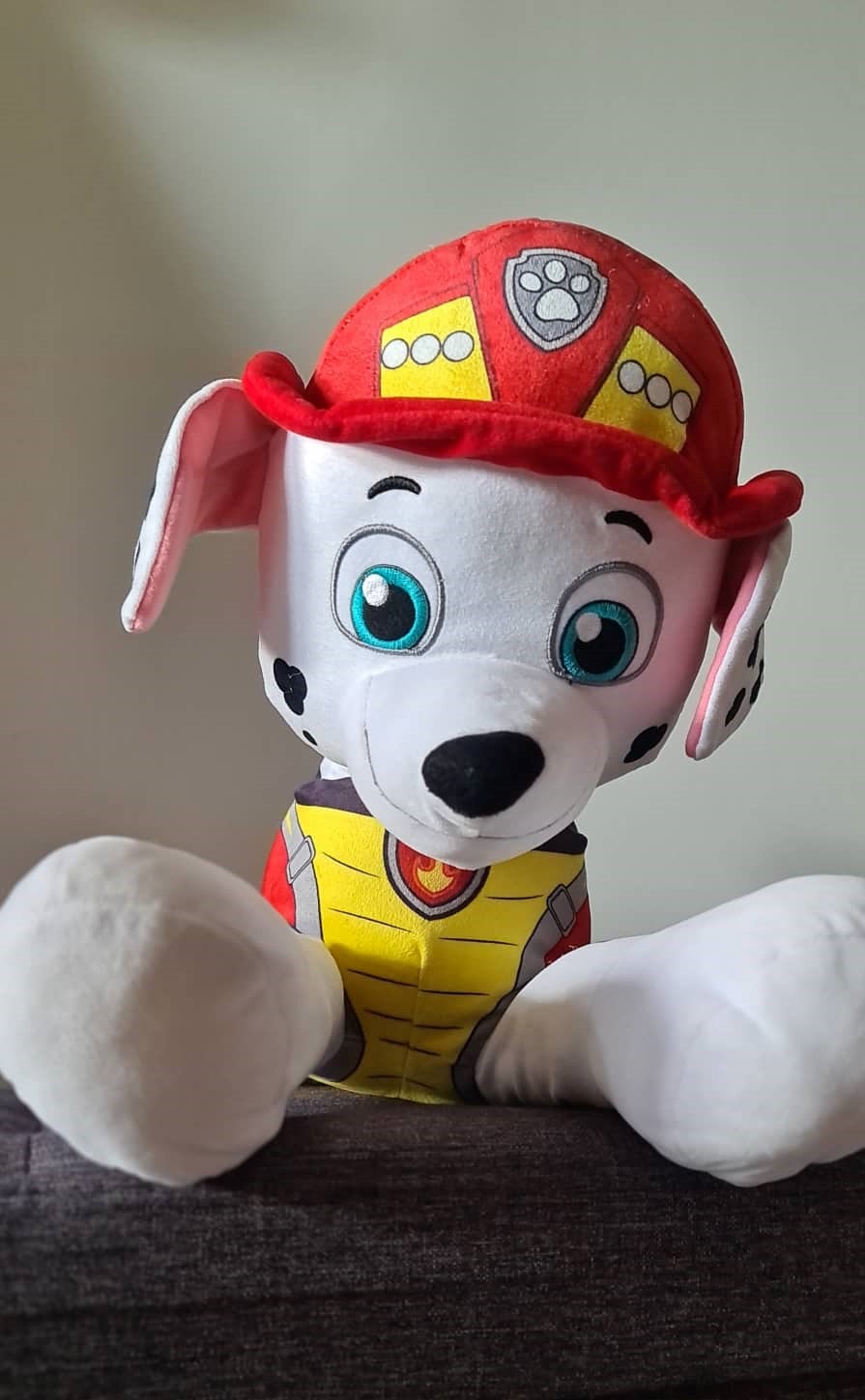 Peluche Pat Patrouille Ruben 29 cm Chien Assis - Peluche Paw Patrol Enfant  - ref:7183F - Cdiscount Jeux - Jouets