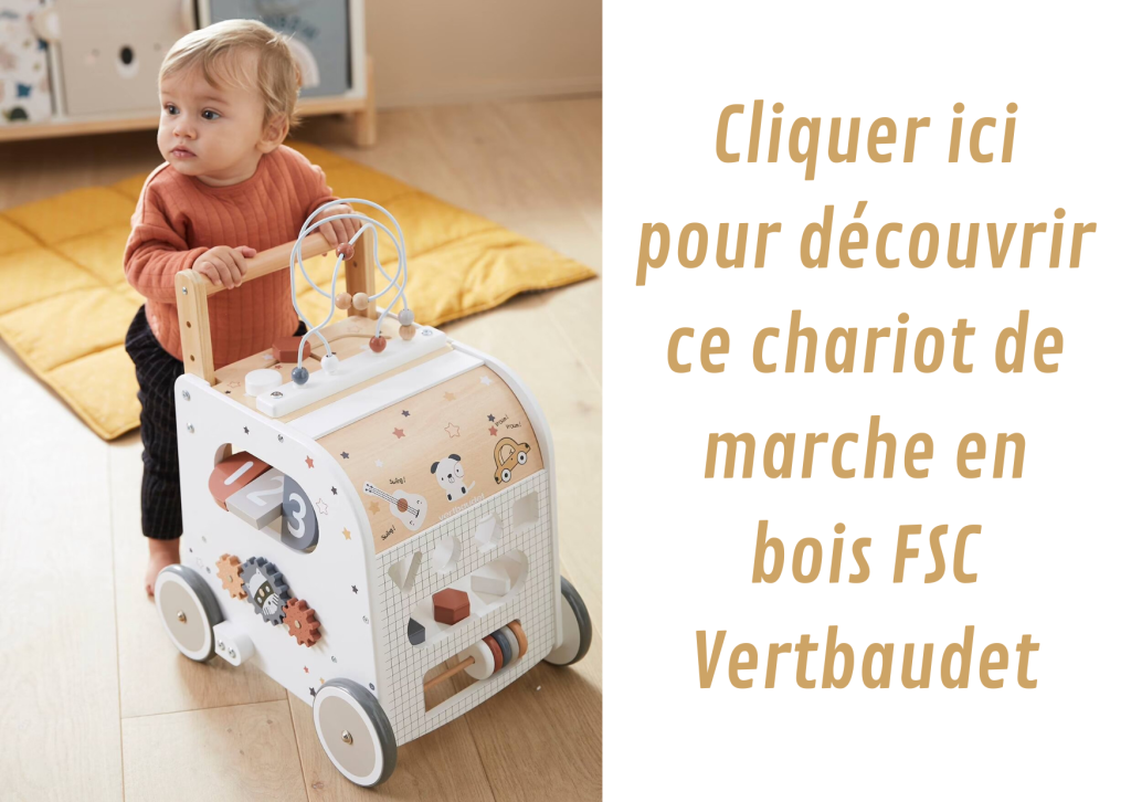 Les meilleurs chariots de marche pour bébé - Mam'Advisor