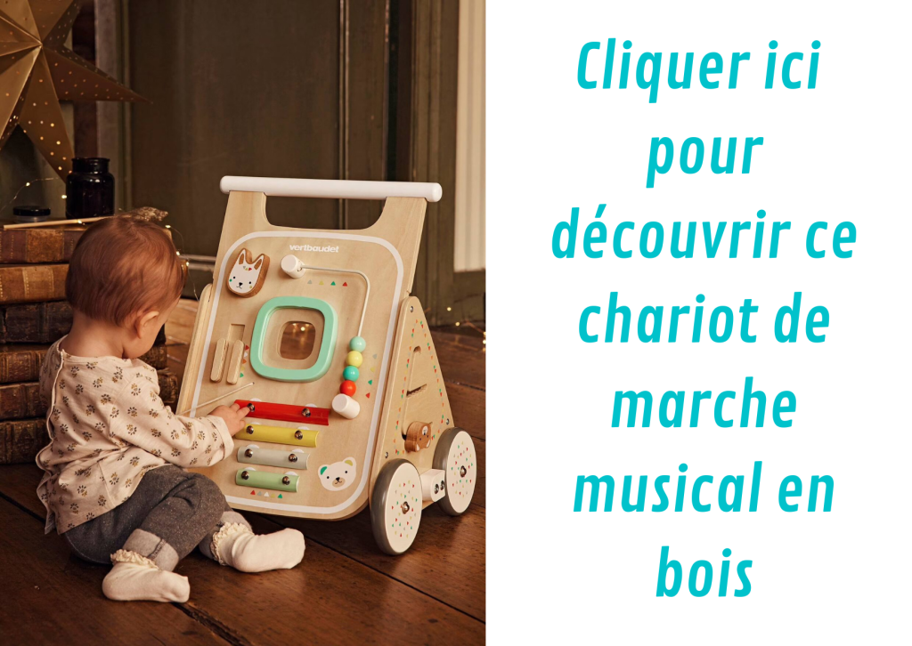 Les meilleurs chariots de marche pour bébé - Mam'Advisor