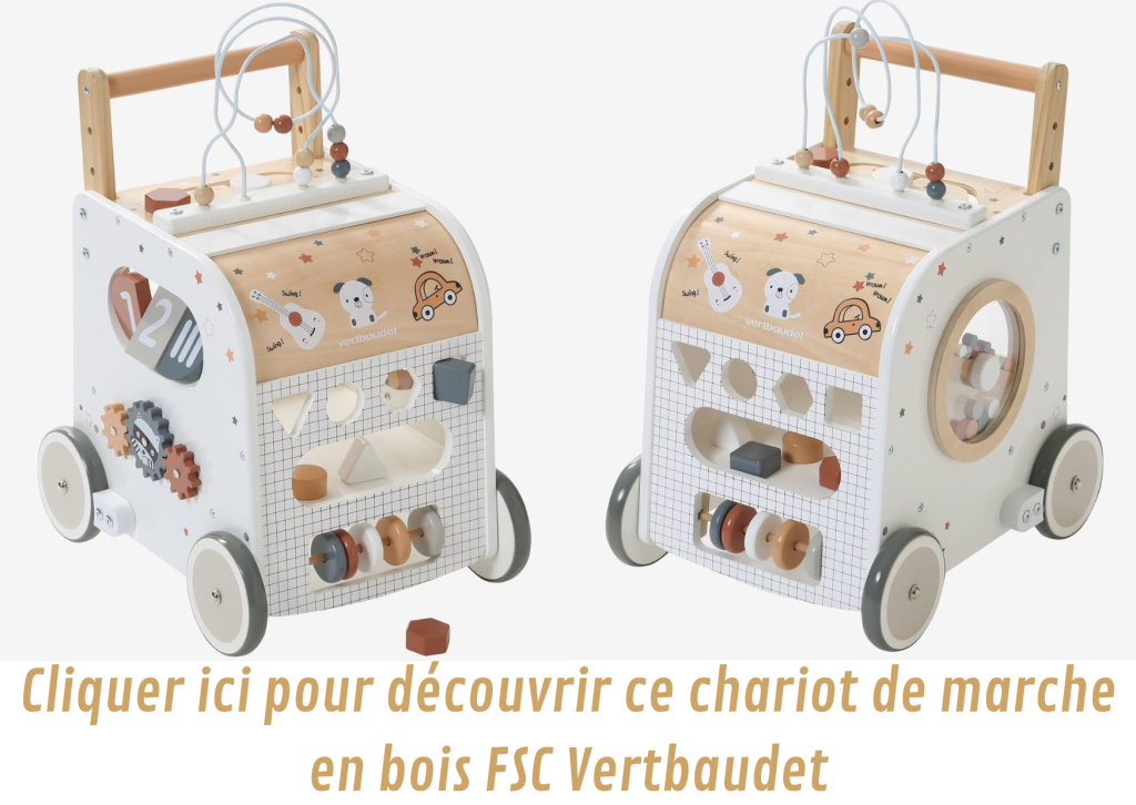 Les meilleurs chariots de marche pour bébé - Mam'Advisor