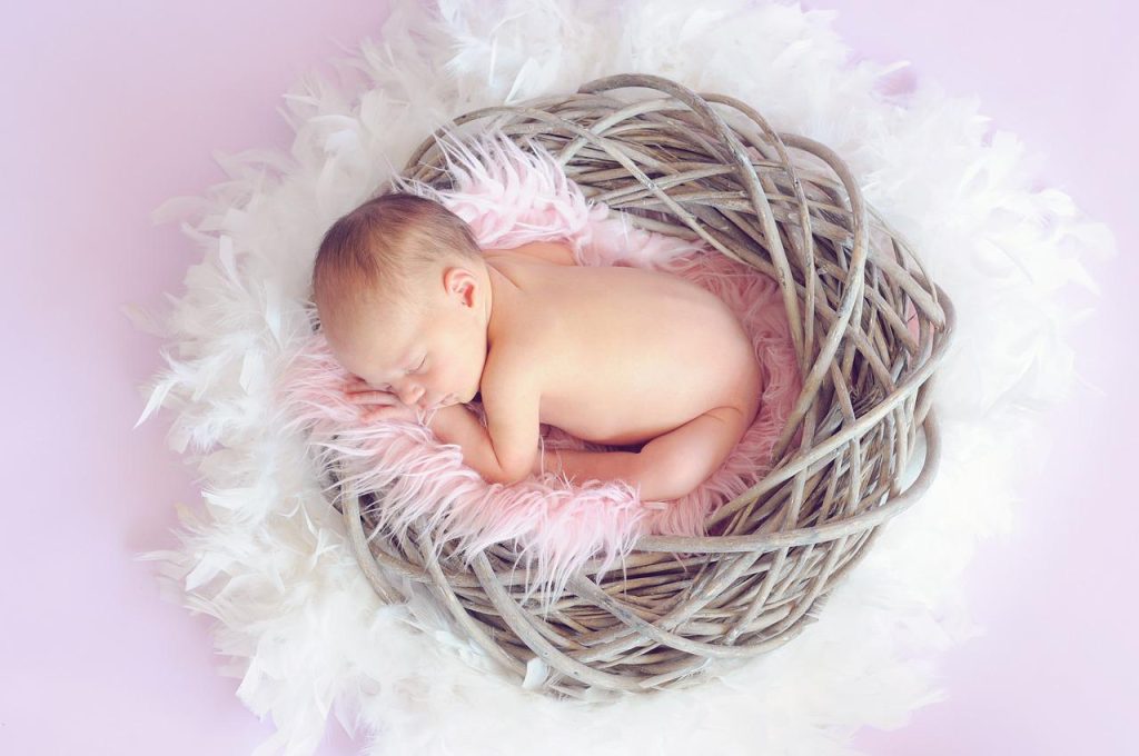 Ce nouveau-né dort à l'intérieur d'un nid.