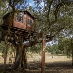 La cabane enfant peut être perché dans un arbre pour les plus grands.