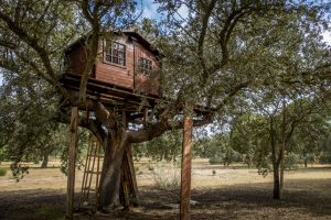 Les avantages de la cabane en bois pour enfant