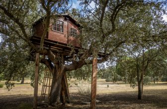 La cabane enfant peut être perché dans un arbre pour les plus grands.
