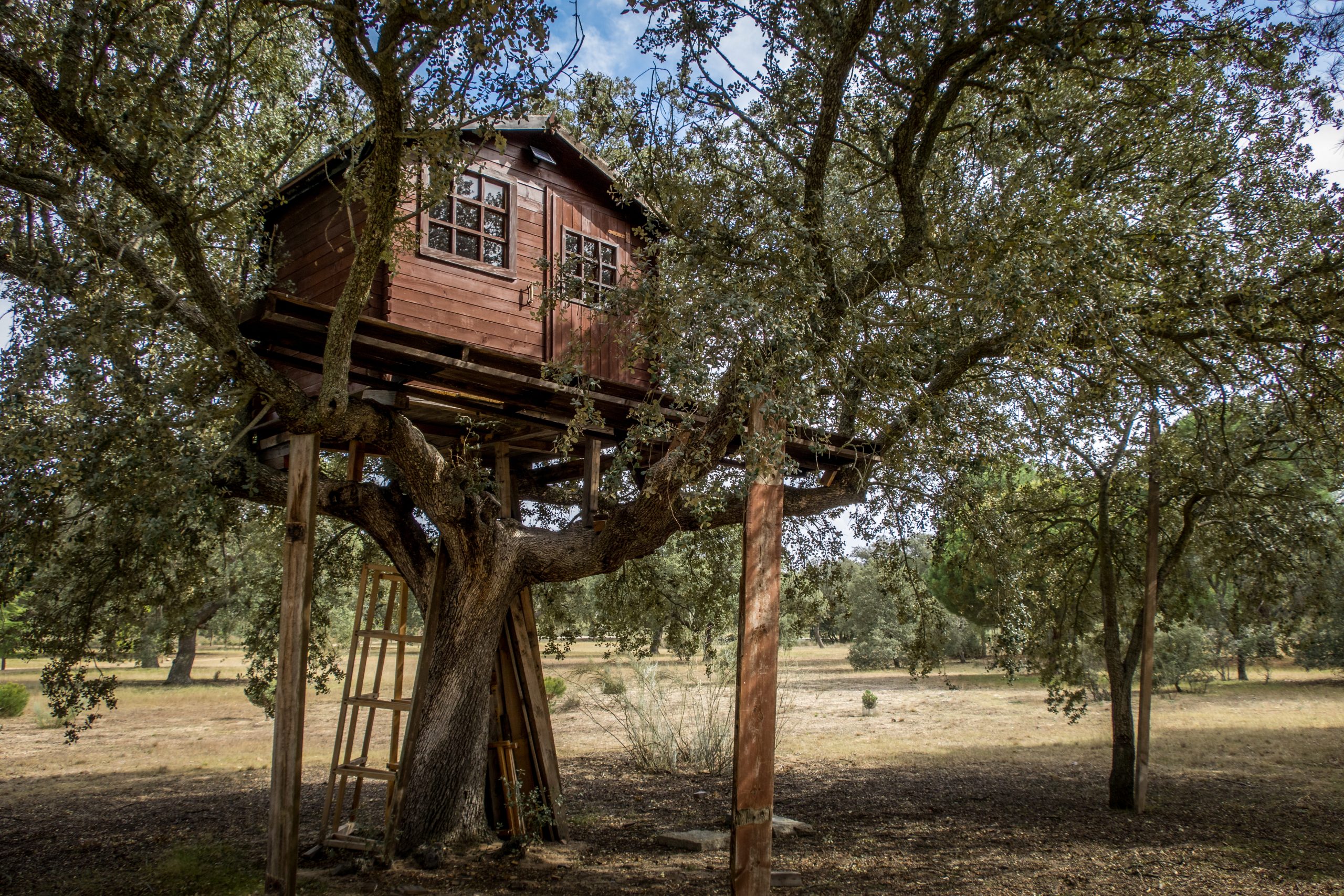 La cabane enfant peut être perché dans un arbre pour les plus grands.