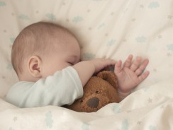 Doudou : comment bien choisir ?